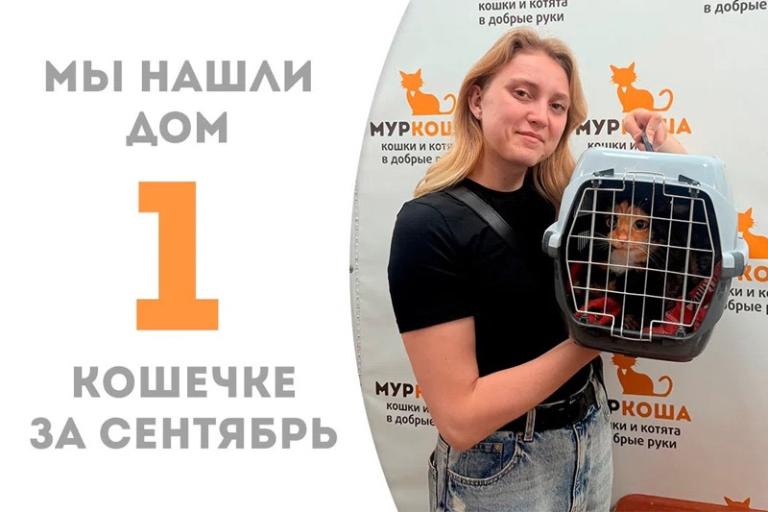 Карамельно-сладкая Вахта нашла дом!
