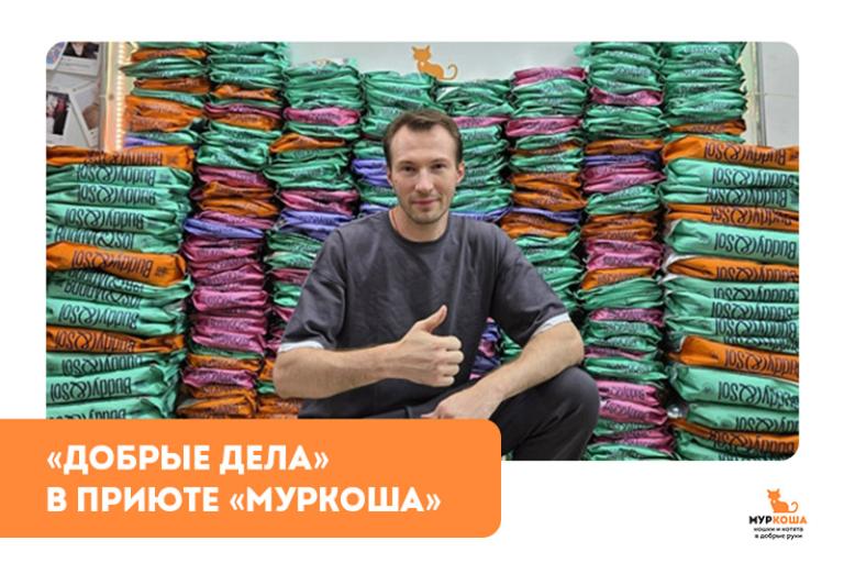 "Добрые дела" №12. Помощь самому крупному частному приюту для кошек в РФ