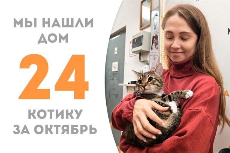 Игривый Мельхиор дома!