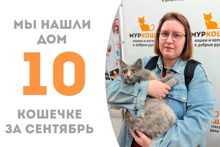 Шелковистая Милентина нашла дом!