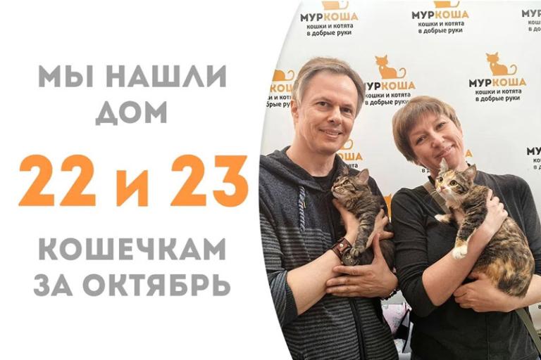 Очаровательные Наоко и Бербера дома!