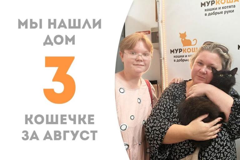 Магическая кошечка Райса обрела дом!