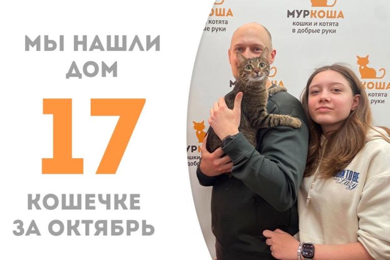 Милая кошечка Тефия, которой исполнился один годик, стала по-настоящему домашней!