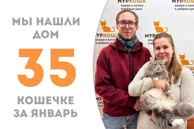 Пышногрудая Агальма стала домашней!
