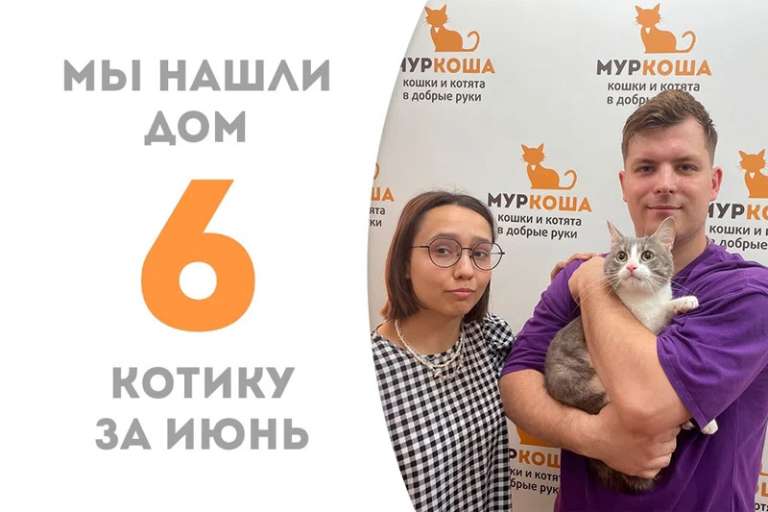 Очаровашка Бамсик дома!