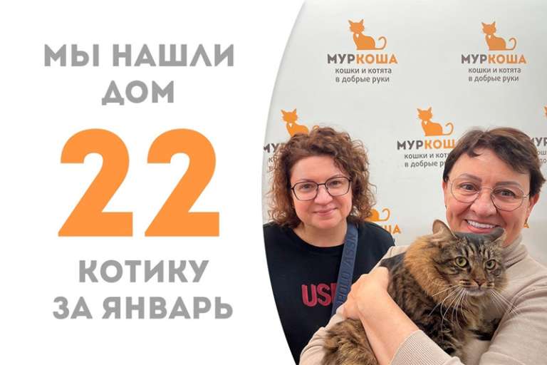 Презентабельный Барсолино стал домашним котом!