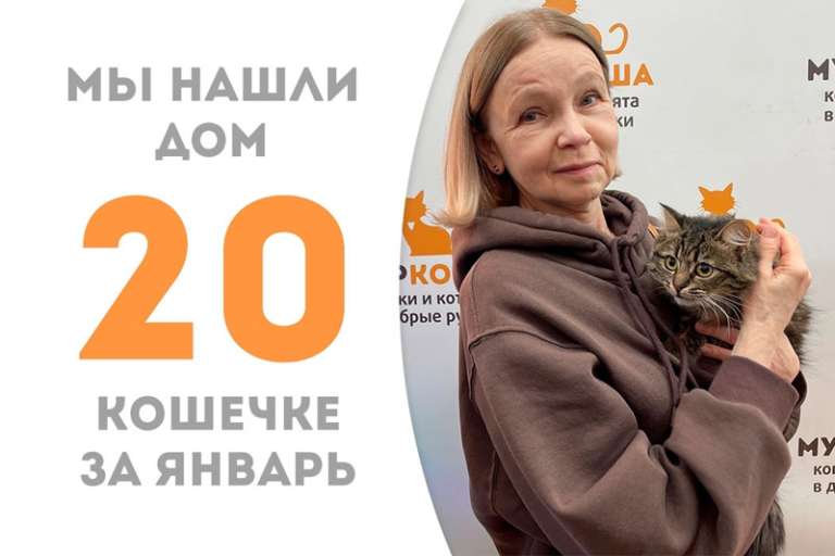 Уверенная в себе кошечка Бэбифэйс нашла дом!
