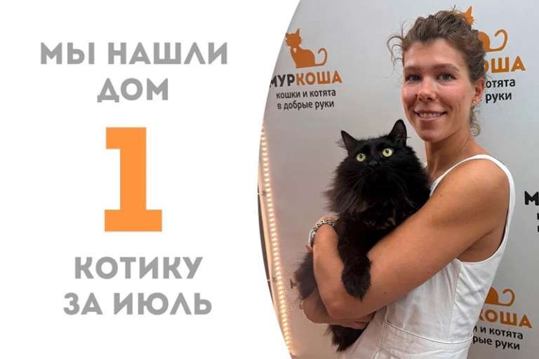 Обрести семью в июле посчастливилось котику Бойцу!