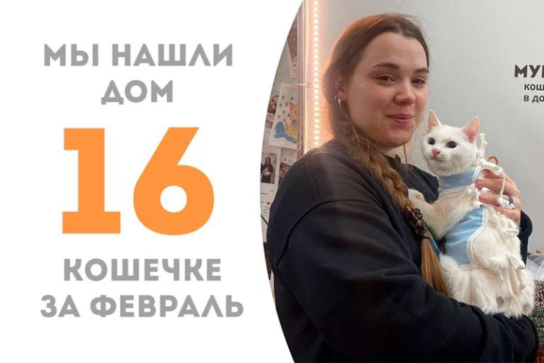 Райская Бьянка нашла дом за два месяца!
