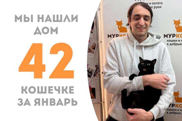 Восхитительная Джедика уезжает домой с любимым человеком!