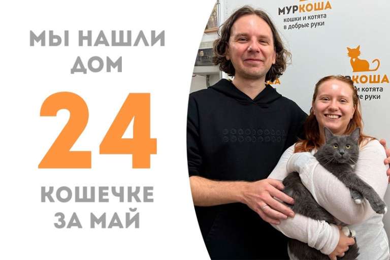 Всего два месяца пробыла у нас кошечка Джолин, прежде чем нашла семью!