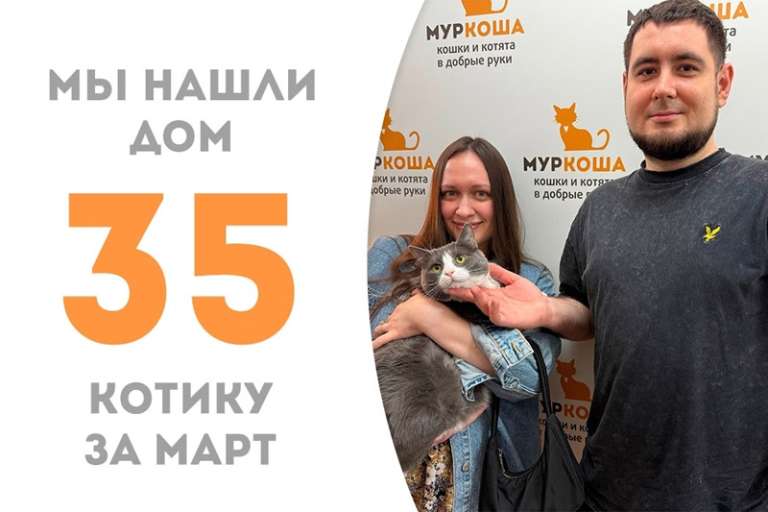Харизматичный Джульбарс дома!