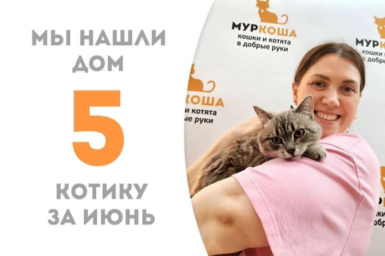 Перламутровый красавчик Эллиот нашел семью меньше чем за 2 месяца!