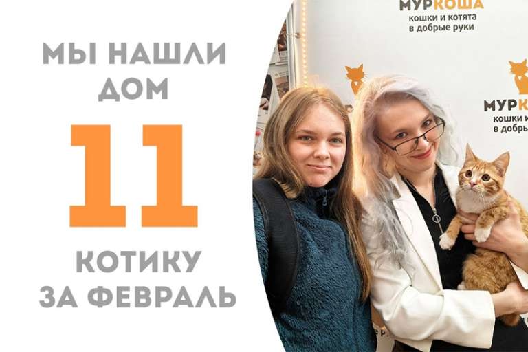 Ошеломительный котенок Файтер нашел любимую семью всего за месяц!