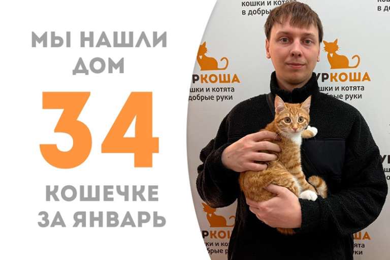 Лучистая Фокси обрела семью!