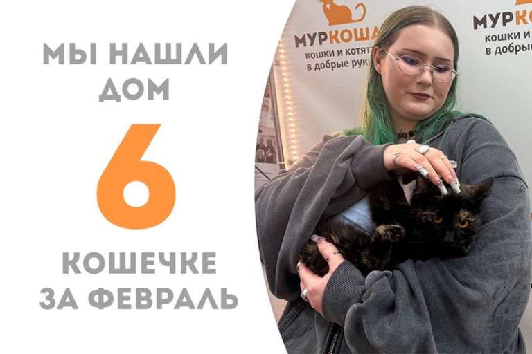 Удивительная Икебана уезжает в любящий дом!