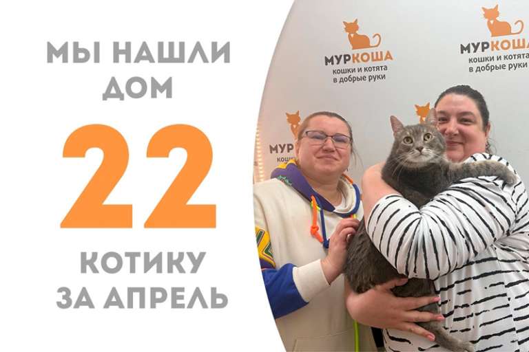 Очаровательный Ипполит нашел новый дом!