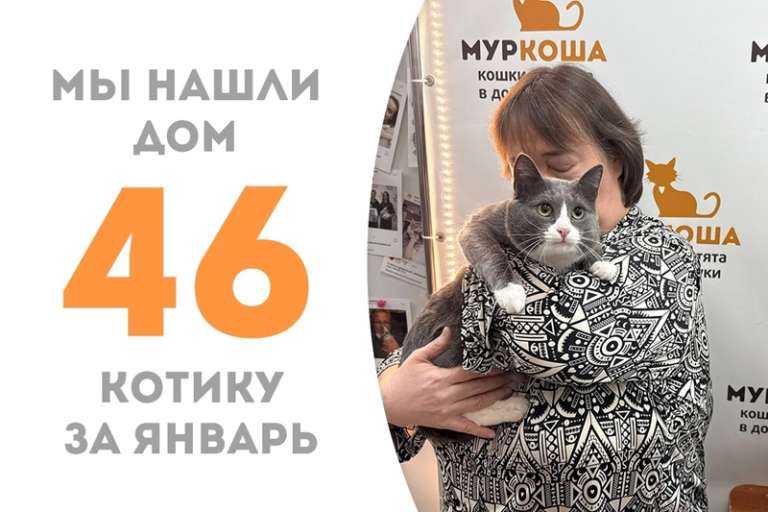 Искромётный Канопус уезжает в долгожданную семью, где его уже ждут Конго и Антошенька!