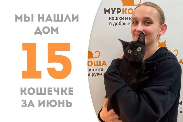 Всего месяц потребовалось кошечке Харуне, чтобы найти дом!