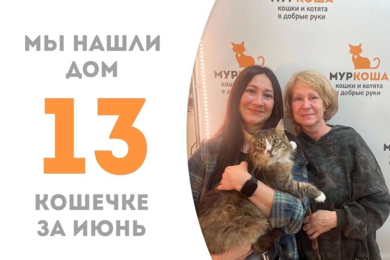 Милая кошечка Лансада нашла дом!