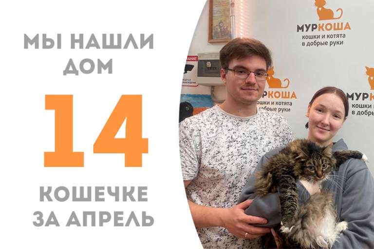 Пушистая дамочка Ласкунья дома!
