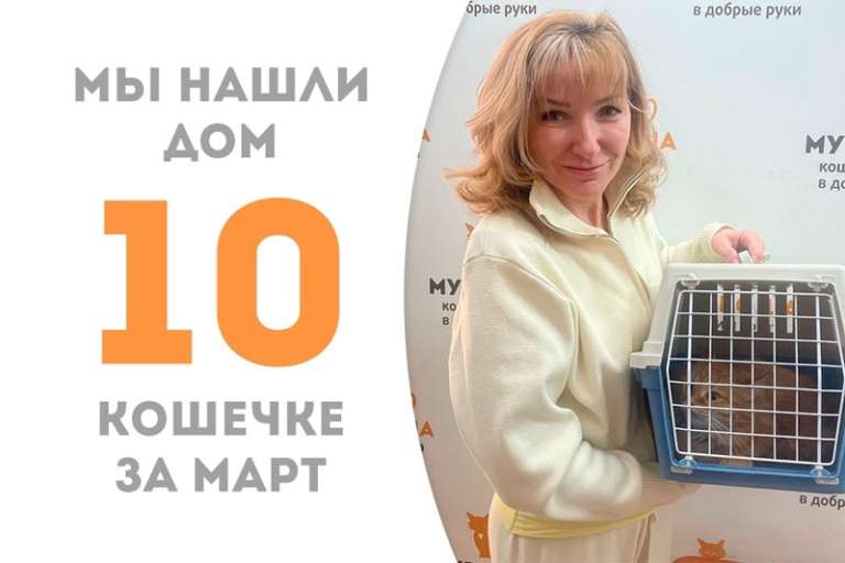 Яркое счастье кошечка Малинника стала домашней и уехала к Пуншу!