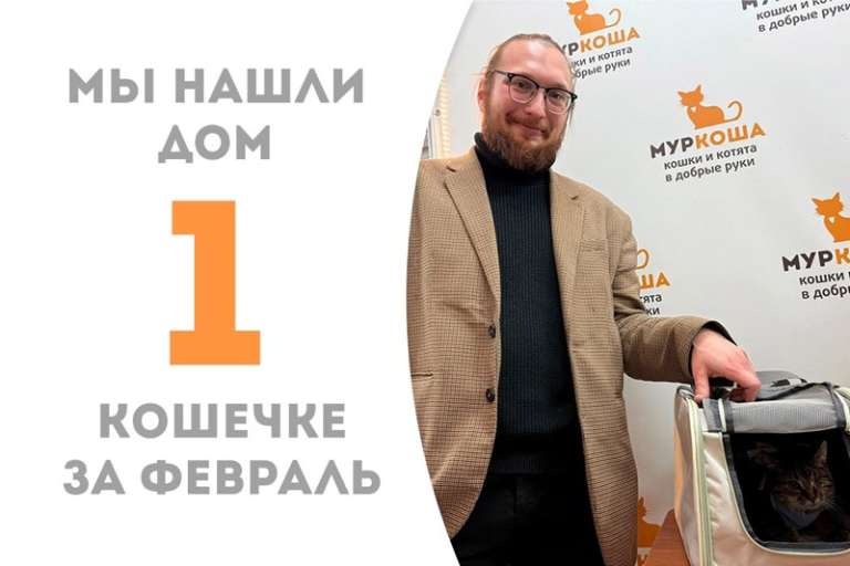 Ласковая мурчалка Микруля стала домашней!