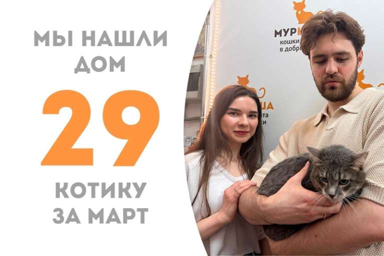 Чуть больше месяца понадобилось Моррису, чтобы стать домашним!