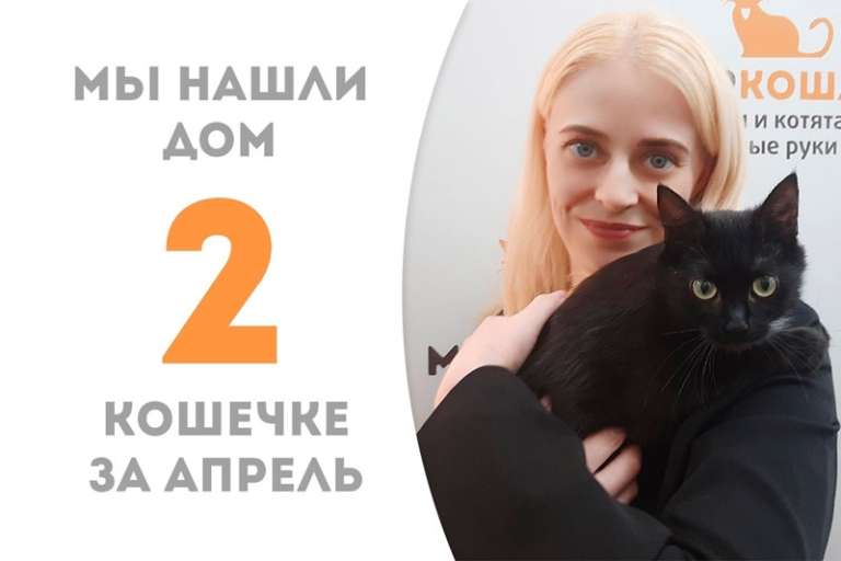 Обрести семью в апреле смогла Муста!