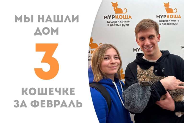 Ошеломляющая Пикча уезжает в любящий дом!