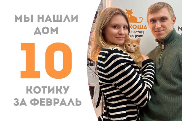 Зимнее солнышко котенок Рамиль обрел свое счастье!