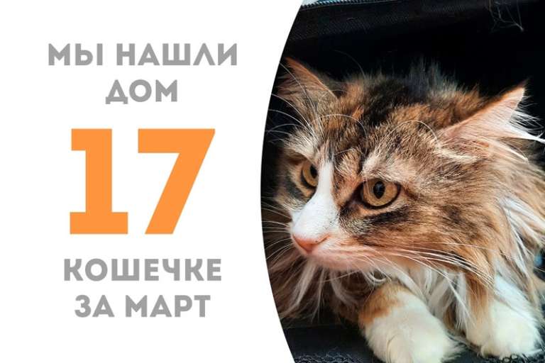 Стесняшка Слобода теперь дома!