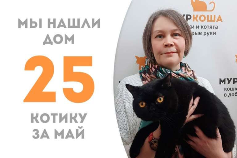 Не прошло и двух месяцев, как экзотический котик Спок встретил свою новую хозяйку!