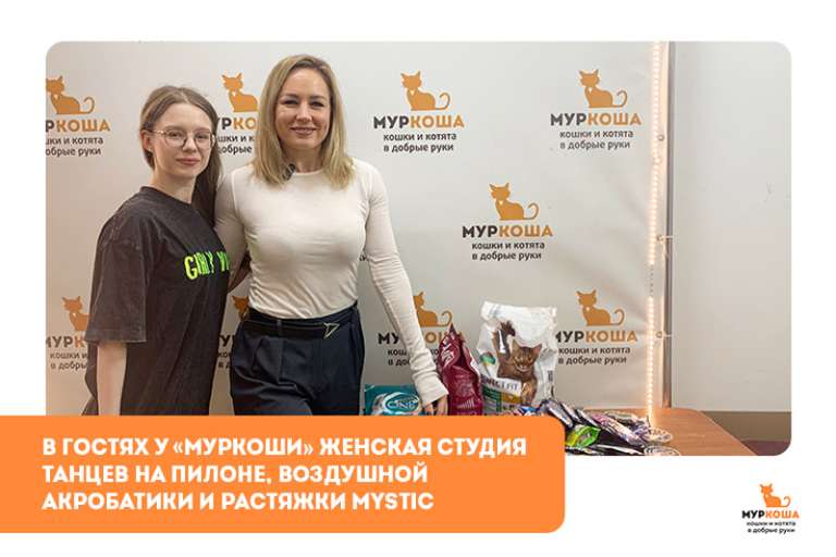 Гости "Муркоши". «Женской студии танцев на пилоне, воздушной акробатики и растяжки MystiC»