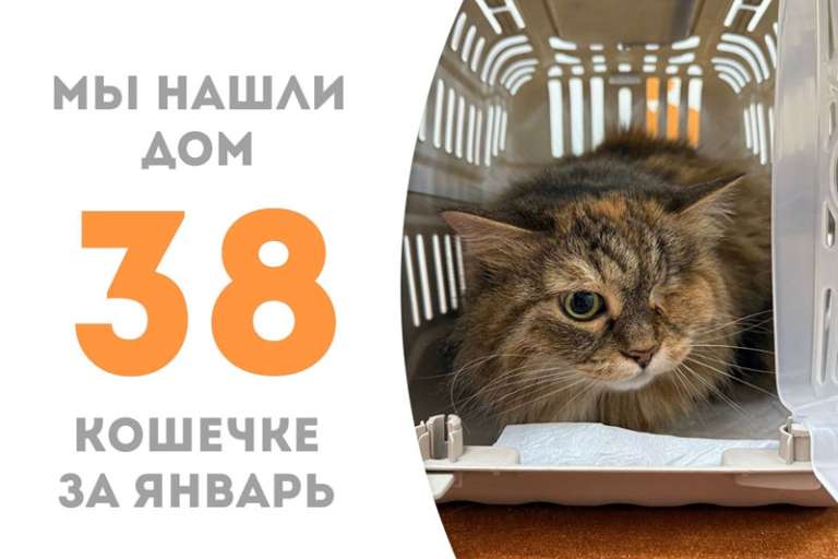 Любимая всеми Тиффани уезжает домой!
