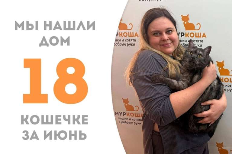 Очаровательная Тигрелла дома!