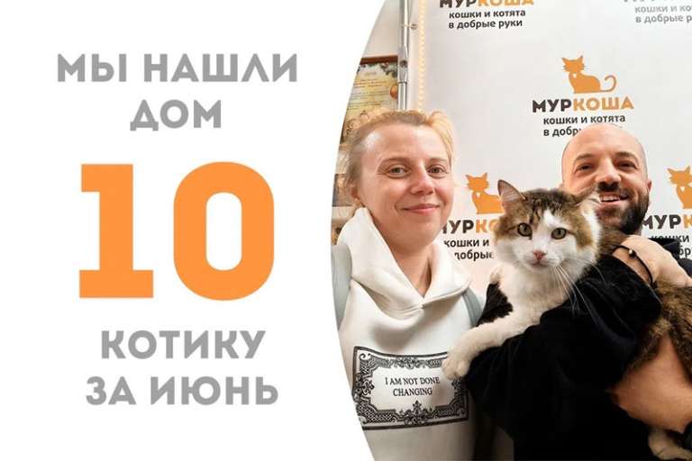 Превосходный Яшечка стал домашним и уехал к Гарольду!