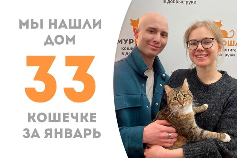 Очаровательная принцесса Зефирони нашла дом!