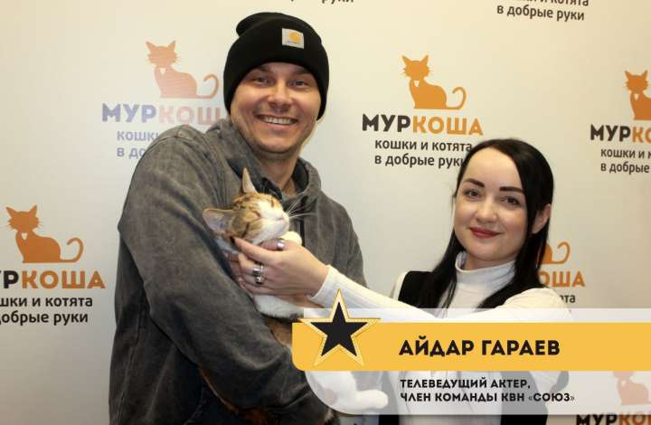 Муркоша - кошки и котята в добрые руки