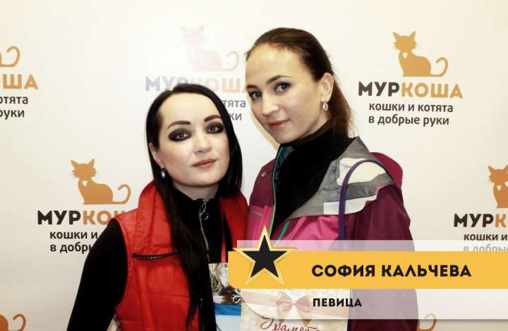 Муркоша - кошки и котята в добрые руки