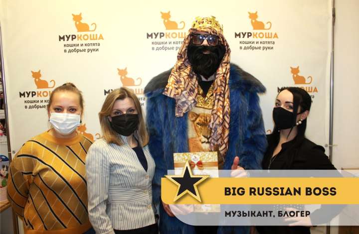 Муркоша - кошки и котята в добрые руки