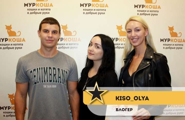 Муркоша - кошки и котята в добрые руки