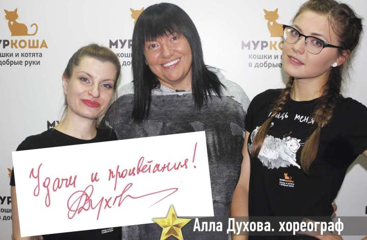 Муркоша - кошки и котята в добрые руки