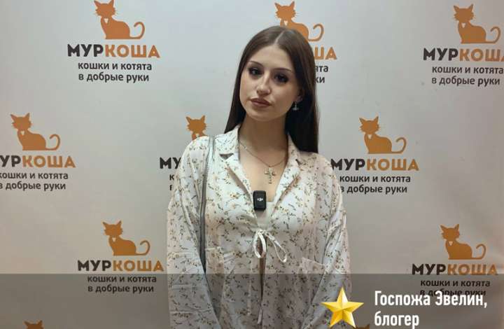 Муркоша - кошки и котята в добрые руки