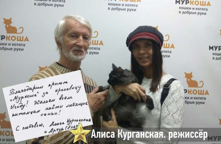 Муркоша - кошки и котята в добрые руки