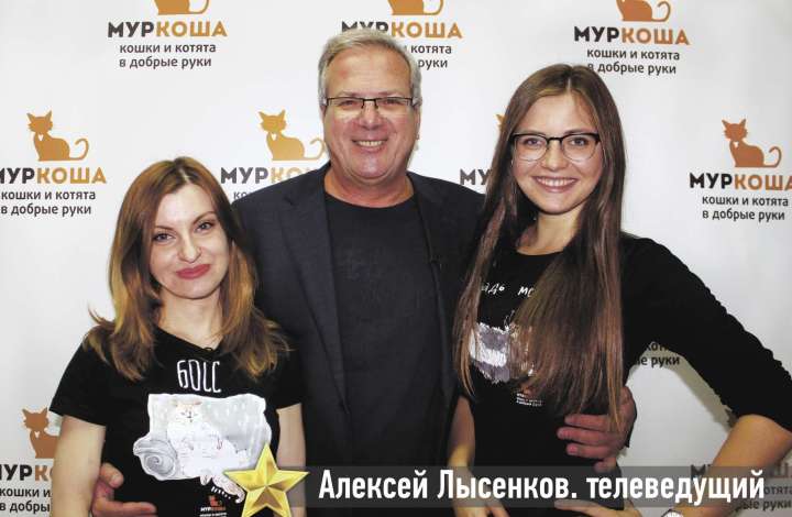 Муркоша - кошки и котята в добрые руки
