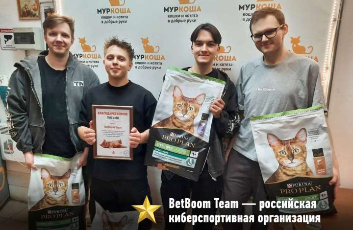 Муркоша - кошки и котята в добрые руки