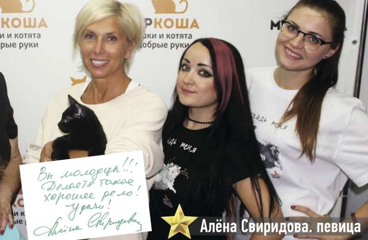 Муркоша - кошки и котята в добрые руки