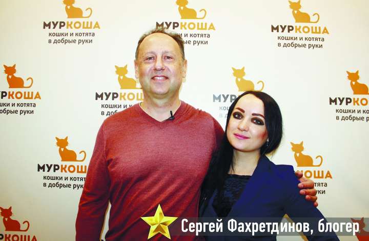 Муркоша - кошки и котята в добрые руки