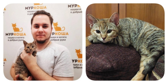 История Купавы